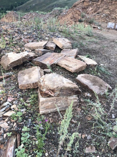 Плитняк кора дерева 50-100мм для пошаговых дорожек купить в Волгограде